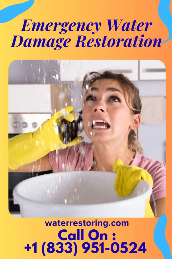 Emergency Water Damage Restoration in Calhoun, IL