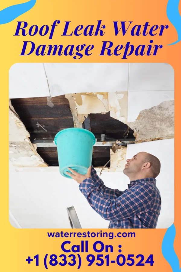 Roof Leak Water Damage Repair in Calhoun, IL
